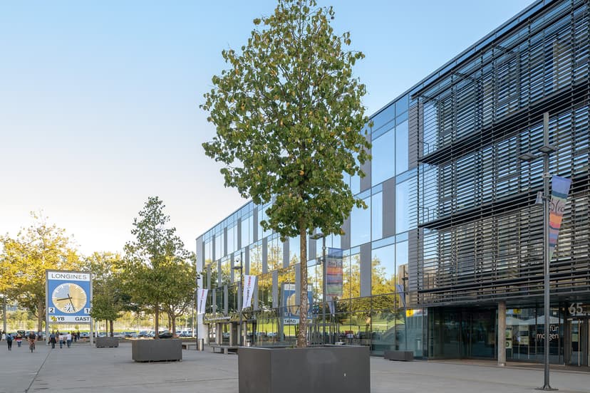 Project 2: Portfolio